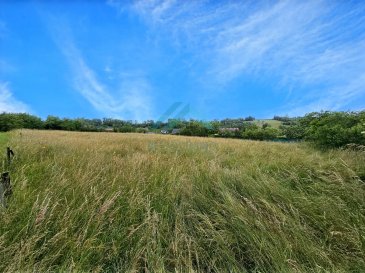 Belardimmo vous propose en exclusivité un terrain constructible de 22 ares 51 ca, situé en pleine campagne dans la commune de Beyren-lès-Sierck, diverses possibilité de construction s'offre à vous.

Pour plus d'informations veuillez contacter Monsieur David Kempf au 00 352 621 631 841 ou par mail David.kempf16@gmail.com
