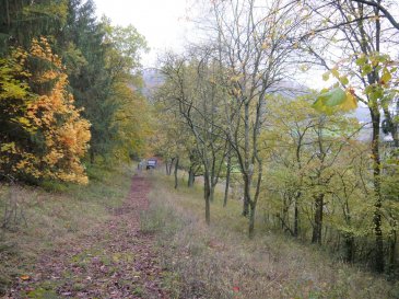 A vendre deux terrains situés dans la zone verte de Lorentzweiler :

- 28a 50ca
- 15a 70ca

- Orientation ouest ;
- Terrains clôturés ;
- Chalet de 30 m2 à rénover ;
- Belle vue sur la vallée de l’Alzette ;
- Situation privilégiée, dans une rue sans issue ;
- Terrain non viabilisé ;
- Propriété fermée par un portail ;
- Proximité de la ville et de l’autoroute du Nord.

Agent responsable : Katia Gravière au 661 33 29 82 ou katia@vanmaurits.lu
