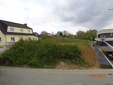 Terrain