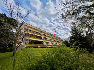 Bel appartement très lumineux orienté plein sud situé au 3ème et dernier étage d'une copropriété calme avec une vue dégagée sur les alentours et sans vis-à-vis au bout d'une rue sans issu.

La situation se compose comme suit:

Au 3ème étage:
- Hall d'entrée.
- Salle de douche avec lavabo simple, WC et fenêtre.
- Cuisine entièrement équipée / four, plaques de cuisson, réfrigérateur avec petit congélateur, lave vaisselle (neuf)
- Chambre à coucher de ±10,25m2 (2,52m x 4,06m)
- Living de 17,35m2 avec accès à la terrasse orientée plein sud de 6,15m2 (avec marquise)

Au sous sol:
- Espace de rangement privatif 
- Buanderie commune avec emplacement de lave/sèche linge privatif

A l'extérieur:
- Facilités de parking 

Parquet bambou dans tout l'appartement sauf dans la salle de bains.
Double vitrage récent.
- Très bonnes connexions aux réseau autoroutier en direction du centre financier, administratif et bancaire de Findel, Kirchberg, Niederanven, Munsbach (accessible endéans 5 Minutes). 
- Aérogare de Findel à 5 Minutes en voiture.
- Nombreuses facilités de shopping, restaurants, piscine, etc...

Adresse: 
6, rue des Résidences
L-2434 Senningerberg