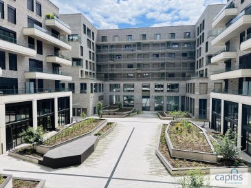 CAPITIS immobilier vous propose à la LOCATION ce STUDIO  NEUF et MEUBLE de 48 m2 situé au 2ième de la résidence Millenium à Belval. 

- Hall d'entrée, cuisine équipée et ouverte sur le living,  une salle de bain avec WC  et débarras/buanderie. 
Une cave complète ce bien. 

En cours d'ameublement, disponible à partir du 1er septembre 2025. 

La résidence propose des surfaces privatives et espaces partagés pour offrir des prestations de services de qualité et favoriser les échanges entre les occupants.
Salle de sport, espace détente, Local vélo, tout est pensé pour vous et votre confort de vie.
 
Le quartier Square Mile à Belval est un cadre de vie idéal à proximité l'université, gare, école, des commerces, restaurants, des accès autoroutiers, parc etc. 

Pour plus de renseignements, veuillez nous contacter au +352 263 709 15-25 ou sur info@capitis.lu