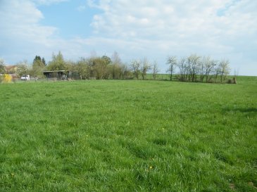 Terrain constructible