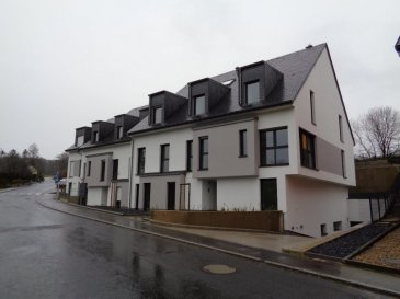 Duplex