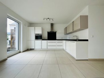 AXHOME IMMO vous propose à la vente ce bel et spacieux appartement entièrement rénové avec 1 chambre de +/− 70 m2, situé dans la prestigieuse commune de BERTRANGE.

L'appartement se compose comme suit :

Rez-de-chaussée

- Hall d'entrée
- WC séparé
- Cuisine ouverte sur le living
- Terrasse
- 1 chambre avec salle de douche et WC

- Buanderie commune avec emplacement dédié

- Emplacement extérieur

L'appartement est actuellement loué.

Pour plus d'informations, n'hésitez pas à nous contacter :
- Par téléphone : +352 691911993 Roberto Alex
- Par email : info@axhome.lu

Nous restons à votre entière disposition si vous souhaitez vendre ou louer votre bien. Nous prenons en charge toutes les démarches administratives liées à votre bien immobilier.

Nous sommes également à votre disposition pour des estimations gratuites.

 ---------- 
AXHOME IMMO bietet Ihnen zum Verkauf diese schöne und geräumige, komplett renovierte Wohnung mit 1 Schlafzimmer und ca. 70 m2, gelegen in der prestigeträchtigen Gemeinde BERTRANGE.

Die Wohnung setzt sich wie folgt zusammen:

Erdgeschoss

- Eingangshalle
- Separates WC
- Offene Küche zum Wohnzimmer
- Terrasse
- 1 Schlafzimmer mit Duschbad und WC

- Gemeinsamer Waschraum mit zugewiesenem Stellplatz

- Außenstellplatz

Die Wohnung ist derzeit vermietet.

Für weitere Informationen zögern Sie nicht, uns zu kontaktieren:
- Telefonisch: +352 691911993 Roberto Alex
- Per E-Mail: info@axhome.lu

Wir stehen Ihnen jederzeit zur Verfügung, wenn Sie Ihre Immobilie verkaufen oder vermieten möchten. Wir übernehmen alle mit Ihrer Immobilie verbundenen administrativen Verfahren.

Wir stehen Ihnen auch für kostenlose Bewertungen zur Verfügung.

 ---------- 
AXHOME IMMO offers for sale this beautiful and spacious apartment fully renovated with 1 bedroom of approximately 70 m2, located in the prestigious municipality of BERTRANGE.

The apartment is composed as follows:

Ground floor

- Entrance hall
- Separate toilet
- Open kitchen to the living room
- Terrace
- 1 bedroom with shower room and toilet

- Shared laundry room with dedicated space

- Outdoor parking space

The apartment is currently rented.

For more information, do not hesitate to contact us:
- By phone: +352 691911993 Roberto Alex
- By email: info@axhome.lu

We remain at your entire disposal if you wish to sell or rent your property. We take care of all administrative procedures related to your real estate.

We are also available for free valuations.

 ---------- 
AXHOME IMMO bitt Iech dëst schéint a geräumt Appartement fir de Verkaf un, komplett renovéiert mat 1 Schlofzëmmer vun +/ - 70 m2, am prestigiéise Gemeng Bertrange.

Den Appartement besteet aus:

Rez-de-Chaussée

- Entrée Hall
- Separaten WC
- Oppe Kichen am Wunnberäich
- Terrass
- 1 Schlofzëmmer mat Duschzëmmer an WC

- Gemeinsame Wäschraum mat reservéierter Plaz

- Ausseparkplaz

Den Appartement ass momentan verhuert.

Fir méi Informatiounen zéckt net eis ze kontaktéieren:
- Telefon: +352 691911993 Roberto Alex
- E-Mail: info@axhome.lu

Mir stinn Iech gäre vollstänneg zur Verfügung wann Dir Äre Bestand verkafe oder lounen wëllt. Mir iwwerhuelen all administrativ Schrëtt bezüglech Ärem Immobilienbeständ.

Mir si och fir gratis Schätzungen fir Iech verfügbar.