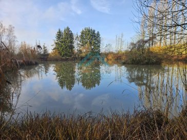 Découvrez ce magnifique terrain non constructible de 1ha 04 ares situé à Monneren, France. Niché en pleine nature, avec son propre étang, ce terrain offre un environnement paisible et verdoyant, idéal pour les amateurs de tranquillité et de grands espaces. Vous pourrez profiter de la beauté naturelle des lieux tout en étant à proximité des commodités locales.

Le terrain est riche en biodiversité, avec une variété d'arbres et de végétation. C'est un lieu parfait pour ceux qui souhaitent se reconnecter à la nature ou s'adonner à des activités de plein air. La présence d'un plan d'eau ajoute un charme supplémentaire à cet espace exceptionnel, offrant une vue imprenable et une ambiance apaisante.

Bien que non constructible, ce terrain offre de nombreuses possibilités pour les loisirs ou l'investissement écologique. Que vous soyez passionné par l'environnement ou simplement à la recherche d'un refuge loin du stress urbain, ce terrain à Monneren est une opportunité rare à ne pas manquer.

Pour plus d'informations contactez Monsieur Kempf David au 00 352 621 631 841 ou par mail david.kempf16@gmail.com

 ---------- 
Entdecken Sie dieses wunderschöne, nicht bebaubare Grundstück von 1ha 04 Ar in Monneren, Frankreich. Eingebettet in die Natur, mit seinem eigenen Teich, bietet dieses Grundstück eine friedliche und grüne Umgebung, ideal für Liebhaber von Ruhe und Weite. Sie können die natürliche Schönheit der Umgebung genießen, während Sie sich in der Nähe der örtlichen Annehmlichkeiten befinden.

Das Grundstück ist reich an Biodiversität und bietet eine Vielzahl an Bäumen und Vegetation. Es ist ein perfekter Ort für diejenigen, die sich wieder mit der Natur verbinden oder Aktivitäten im Freien nachgehen möchten. Das Vorhandensein eines Gewässers verleiht diesem außergewöhnlichen Grundstück zusätzlichen Charme und bietet einen atemberaubenden Ausblick und eine beruhigende Atmosphäre.

Obwohl es nicht bebaubar ist, bietet dieses Grundstück viele Möglichkeiten für Freizeitaktivitäten oder ökologische Investitionen. Ob Sie sich für die Umwelt begeistern oder einfach nur einen Zufluchtsort vor dem Stress der Stadt suchen, dieses Grundstück in Monneren ist eine seltene Gelegenheit, die Sie sich nicht entgehen lassen sollten.

Für weitere Informationen kontaktieren Sie bitte Herrn Kempf David unter 00 352 621 631 841 oder per Mail david.kempf16@gmail.com

 ---------- 
Dëst eenzegaartegt Stéck Land zu Monneren, Frankräich ëmfaasst eng Fläch vu ronn 9000 m². Obwuel et net konstruktibel ass, bidd dëst Gebitt eng ideal Geleeënheet fir Naturbegeeschterter fir sech an der Rou an an der Sécherheet vun der Natur z'erhuelen.

De Site ass vu wonnerschéiner Flora ëmgi an huet e flotte Weier, deen eng natierlech Attraktioun fir Vullen a Weisen ass. Et ass de perfekte Plaz, fir en Zäit an der Fräizäit z'entwéckelen, e Spadséiergang ze maachen oder einfach d'Natur ze genéissen.

Fir déi, déi eng Paus vum Alldag sichen, ass dëst Stéck Land eng echt Oase vum Fridden. Mat senger roueger Atmosphär a Naturbegeeschterung, ass et eng Investitioun a Fridden an Entspanung.