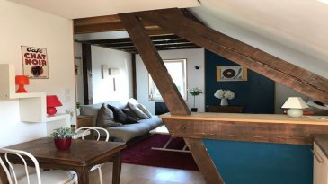 Appartement Gérardmer