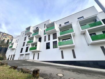 MANSO IMMO vous propose un bien d'exception et coup de coeur assuré aux faibles charges mensuelles. En exclusivité cet appartement érigé au premier étage mais surtout à l'arrière de la résidence (côté jardin) avec une vue dégagée et dans un coin paisible au centre de Differdange, cet appartement de +-61m2 avec une énorme terrasse avec pergola traversant toutes les pièces de vie dont l'exposition solaire est idéale se trouve dans une résidence très bien entretenue. Offrant aux propriétaires tout confort et sécurité. Avec ses belles finitions, fenêtres triple vitrage vous bénéficiez d'une qualité de vie agréable garantie.

Cet appartement 61m2 et sa terrasse avec pergola de 28m2 ayant une classe énergétique C se compose comme suit:

- Un hall / couloir d'entrée desservant toutes les pièces. La chambre est spacieuse avec une baie vitrée donnant accès a la terrasse. La salle de douche est vaste avec une large douche à l'italienne, on ajoute son coin buanderie. La pièce majeure et plus importante dans cet appartement est sans aucun doute le salon / salle à manger ouvert sur une cuisine équipée et surtout opérationnelle. Cette pièce est lumineuse grâce aux baies vitrées et donne accès à une belle terrasse. Un plus pour passer de bons moments et profiter du calme. La cuisine est complètement équipée et offre tout espace nécessaire et fonctionnel à chaque amateur de cuisine.

Cette offre se complète avec un emplacements de parking intérieur adapté à tout véhicule ainsi qu'une cave privative.
En commun on aura un ascenseur, l'espace buanderie.

Toutes les indications sont basées exclusivement sur les informations mises à notre disposition par nos clients. Nous n'assumons aucune garantie quant à l'exactitude et l'actualité de ces indications.

Les prix affichés s'entendent frais d'agence inclus de 3% + 17%TVA. Les honoraires d'agence sont à charge des vendeurs.

Pour plus d'informations, photos ou convenir d'un rendez-vous, vous pouvez nous contacter au :
+352 24 51 33 79 info@mansoimmo.lu

MANSO IMMO bietet Ihnen eine außergewöhnliche Immobilie, die Sie mit ihren geringen monatlichen Kosten begeistern wird. Exklusiv bieten wir Ihnen diese Wohnung im ersten Stock, aber vor allem auf der Rückseite der Residenz (Gartenseite) mit freiem Blick und in einer ruhigen Ecke im Zentrum von Differdange. Diese Wohnung mit einer Fläche von ca. 61 m² und einer riesigen Terrasse mit Pergola, die sich über alle Wohnräume erstreckt und eine ideale Sonneneinstrahlung bietet, befindet sich in einer sehr gepflegten Residenz. Sie bietet den Eigentümern jeglichen Komfort und Sicherheit. Mit seiner schönen Ausstattung und den dreifach verglasten Fenstern ist Ihnen eine angenehme Lebensqualität garantiert.

Diese 61 m² große Wohnung mit einer 28 m² großen Terrasse mit Pergola und der Energieklasse C setzt sich wie folgt zusammen:

- Ein Flur/Eingangsbereich, von dem aus alle Räume zugänglich sind. Das Schlafzimmer ist geräumig und verfügt über ein Erkerfenster, das Zugang zur Terrasse bietet. Das Badezimmer ist großzügig geschnitten und verfügt über eine große ebenerdige Dusche sowie einen Waschraum. Der größte und wichtigste Raum in dieser Wohnung ist zweifellos das Wohn-/Esszimmer, das zu einer ausgestatteten und vor allem funktionalen Küche hin offen ist. Dieser Raum ist dank der Fensterfronten hell und bietet Zugang zu einer schönen Terrasse. Ein Pluspunkt, um schöne Momente zu verbringen und die Ruhe zu genießen. Die Küche ist komplett ausgestattet und bietet jeden notwendigen und funktionalen Platz für jeden Kochliebhaber.

Dieses Angebot wird durch einen Innenparkplatz für jedes Fahrzeug sowie einen privaten Keller ergänzt.
Gemeinsam genutzt werden ein Aufzug und der Waschraum.

Alle Angaben basieren ausschließlich auf den Informationen, die uns von unseren Kunden zur Verfügung gestellt wurden. Wir übernehmen keine Gewähr für die Richtigkeit und Aktualität dieser Angaben.

Die angegebenen Preise verstehen sich inklusive 3 % Maklergebühr + 17 % MwSt. Die Maklergebühren gehen zu Lasten der Verkäufer.

Für weitere Informationen, Fotos oder zur Vereinbarung eines Termins können Sie uns unter folgender Nummer erreichen:
+352 24 51 33 79 info@mansoimmo.lu

MANSO IMMO offers you an exceptional property that is sure to be a favorite, with low monthly charges. Exclusively, this apartment is located on the first floor, but more importantly at the rear of the residence (garden side) with an unobstructed view and in a peaceful corner in the center of Differdange. This apartment of approximately 61m² with a huge terrace with a pergola running through all the living rooms, which has ideal sun exposure, is located in a very well-maintained residence. Offering owners every comfort and security. With its beautiful finishes and triple-glazed windows, you are guaranteed a pleasant quality of life.

This 61m² apartment and its 28m² terrace with pergola, with energy class C, is composed as follows:

- An entrance hall/corridor leading to all rooms. The bedroom is spacious with a bay window giving access to the terrace. The shower room is large with a wide walk-in shower, and there is a laundry area. The main and most important room in this apartment is undoubtedly the living/dining room, which opens onto a fully equipped and functional kitchen. This room is bright thanks to the bay windows and gives access to a beautiful terrace. A plus for spending quality time and enjoying the peace and quiet. The kitchen is fully equipped and offers all the necessary and functional space for any cooking enthusiast.

This offer is completed by an indoor parking space suitable for any vehicle and a private cellar.
There is a shared elevator and laundry area.

All information is based exclusively on the information provided to us by our clients. We do not guarantee the accuracy or timeliness of this information.

The prices shown include agency fees of 3% + 17% VAT. Agency fees are payable by the sellers.

For more information, photos or to arrange a viewing, please contact us at:
+352 24 51 33 79 info@mansoimmo.lu