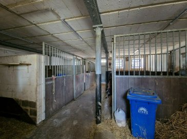 +++ Idéal pour les amoureux des CHEVAUX +++

Cadre de vie particulièrement agréable pour cette propriété édifiée au coeur d'un écrin de verdure à Merscheid.

Propriété unique dans un environnement calme entourée de garrigues et de forêt. Des installations équestres parfaitement entretenues, sécurisées et fonctionnelles feront de vos chevaux et de leurs propriétaires un lieu privilégié.

Ferme datant du 19ème siècle dans le village de Merscheid, commune de Putscheid.

Ce bien, avec une surface utile supérieure à 1064 m² est composé d'une part, d'une maison principale offrant une surface habitable d'approximativement 300 m² et comprend 5 chambres à coucher et diverses terrasses de 149.98 m² en total.

D'autre part, le bien est composé d'un duplex d'une surface habitable de 116.88 m² avec 2 chambres à coucher. Ils viennent s'ajouter 4 garages, une grande grange, un atelier et 6 box pour chevaux.

Composition de la maison principale :
- sous-sol : cave (33.92 m²), chaufferie (26.46 m²)
- rez-de chaussée : entrée (13.14 m²), séjour avec salle à manger (29.43 m²), cuisine (14.77 m²), living (12.37 m²), buanderie (12.54 m²), débarras (11.94 m²), WC séparé, terrasses (134.35 m²), abri de jardin (26.60 m²).

- 1er étage : hall (16,93 m²), chambre 1 (14,13 m²), chambre 2 (14,29 m²), chambre 3 (13,05 m²), chambre 4 (10,07 m²) chambre 5 (12,11 m²) avec balcon (15,63 m²), bureau (6,32 m²), salle de bains avec baignoire et douche (13,19 m²).

- grenier +/- 100 m².
Composition de l'appartement :
- rez-de-chaussée : entrée (2.45 m²), séjour (44.45 m²), cuisine (7.06 m²). - 1er étage : hall (10.14 m²), chambre 1 (25.44 m²), chambre 2 (14.01 m²), salle de bains (13.33 m²). Granges (400.88 m²), 4 garages pour 5 voitures (118,82 m²), atelier (65.76 m²), 6 box pour chevaux (118.98 m²).

A proximité de Diekirch (+/- 15min) respectivement de Marnach (+/- 15min).

Pour tout renseignement complémentaire ou information veuillez nous contacter par email info@immonordstrooss.lu ou par Tél: 691 850 805.

Proposition de crédit/financement à taux compétitif auprès des banques Luxembourgeoise incluse dans nos services gratuits.