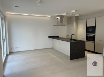 Studio neuf de 40 m2 sis au 2ème étage dans nouvelle résidence et comprenant:
living avec balcon et cuisine équipée ouverte, salle de douche avec WC et raccordement lave-linge, hall d'entrée, cave. 

Revêtement du sol: carrelage. 
Chauffage au sol et volets électriques.
Passeport énergétique AA
Disponible: de suite

Très bonne situation dans quartier de Luxembourg-Merl, proche de tout commerce, bonne connexion bus et accès rapide vers autoroute.