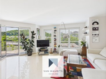 Situé sur les hauteurs de Luxembourg-Eich (8, rue Valentin Simon) ce bel appartement, très lumineux, vous offre une surface cadastrale de ± 100 m² et deux terrasses. 

Au deuxième étage un hall d'entrée de ± 9 m² s'ouvre sur un grand séjour/salle à manger de ± 34 m² avec une sortie sur la première terrasse de ± 8 m² (orientée sud/est), communiquant avec une cuisine séparée de ± 11 m² disposant d'un deuxième balconde ± 3 m². De l'autre côté du couloir se trouvent 2 chambres à coucherde ± 14et de 15 m², dont une avec un grand dressing encastré. Un wc séparé et une salle de bainde ± 6 m² (biagnoire d'angle, double vasque, wc) complètent l'offre.

Au rez-de-chaussée vous trouverez également une cave de ± 3 m², un emplacement de parking de ± 17 m² et une buanderie commune.

Généralités :

- Vue panoramique ;
- Orientation sud, belle luminosité ;
- Classe énergétique E-E ;
- 2 balcons ;
- Jardin privé pour la résidence ;
- Ascenseur; 
- Fenêtres double vitrage, châssis bois ;
- Chambres situées en arrière de la résidence, au calme absolu ;
- Kirchberg à 5 min. ;
- Transport public à 100 m.

Agent responsable : Katia Gravière au 661 33 29 82 ou katia@vanmaurits.lu