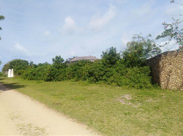 Vous tomberez amoureux de ce terrain de 0,5 acres au Kenya, au coeur de l\'Afrique, face à la côte de l\'océan Indien.<br><br>Sur le terrain nous pouvons construire une belle villa dans le style africain, à louer et/ou à mettre en vente : nous pouvons vous fournir toutes les informations.<br><br>Le Kenya, ex colonie anglaise, est l\'un des plus beaux pays d\'Afrique, connu pour ses gens sympas et pour ses beaux safaris (Tsavo et Masai Mara).<br><br>La localisation est Malindi, avec un aéroport international en construction qui permettra aux gestionnaires de connexions de l\'Europe et le reste du monde.<br><br>Pour de plus amples renseignements, veuillez communiquer avec l\'agence.<br /><br />You will fall in love with this 0.5 acre land in Kenya, in the heart of Africa, facing the coast of the Indian Ocean.<br><br>On the land we can build a beautiful villa in the African style, to rent and/or put up for sale: we can provide you with all the information.<br><br>Kenya, an ex English colony, is one of the most beautiful countries in Africa, known for its friendly people and for its beautiful safaris (Tsavo and Masai Mara).<br><br>The location is Malindi, with an international airport under construction that will allow connection managers from Europe and the rest of the world.<br><br>For more information, please contact the agency.<br><br>***<br><br>Vi innamorerete di questa terra di 0,5 acri in Kenya, nel cuore dell\'Africa, di fronte alla costa dell\'Oceano Indiano.<br><br>Sul terreno si puo\' costruire una bella villa in stile africano, da affittare e/o mettere in vendita: possiamo fornire tutte le informazioni.<br><br>Il Kenya, un\'ex colonia inglese, è uno dei paesi più belli dell\'Africa, noto per la sua gente amichevole e per i suoi bellissimi safari (Tsavo e Masai Mara).<br><br>La posizione è Malindi, con un aeroporto internazionale in costruzione che permetterà gestori di connessione provenienti dall\'Europa e dal resto del mondo.<br><br>Per ulteriori informazioni, si prega di contattare l\'agenzia.