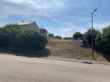 Terrain constructible