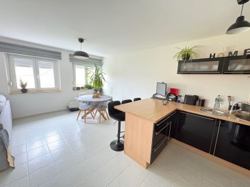 T3 - 75m ². PANETTA IMMOBILIER vous propose, 

En exclusivité ! 

Situé à Haucourt Moulaine, dans un quartier très paisible, 

Un appartement en demi niveau, entièrement rénové de 75m², au deuxième étage, se composant comme suit : 

Vous trouverez une entrée (avec grand placard) desservant un espace  salon/séjour ouvert sur une cuisine équipée ; WC séparés.
En demi niveau, 2 chambres (15m²/11m²) et une salle de bains.

Les fenêtres sont en double vitrage PVC, électricité aux normes. 
Immeuble en cours de rénovation : rénovation façade et toiture actée récemment et règlement déjà effectué par les propriétaires actuels.

Stationnement libre autour du bâtiment.
Syndic professionnel : charges trimestrielles comprenant l'électricité et l'entretien des communs ; chauffage gaz collectif (chaudière récente), assurance du bâtiment.

Pour plus d’informations, veuillez contacter Monsieur COLSON Emmanuel au +33 7 81 30 24 02.

Les informations sur les risques auxquels ce bien est exposé sont disponibles sur le site Géorisques : www.georisques.gouv.fr