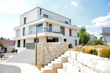 MAMER, 3, rue Marie-Paule MOLITOR PEFFER, proche de l'Ecole Européenne, bel appartement moderne dans une résidence de 2016, de 93 m2 habitables et comprenant : entrée, grand living de 37m2 avec accès terrasse de 10 m2, une cuisine équipée ouverte sur le living, WC séparé, une grande salle de bains avec baignoire et WC, deux chambres à coucher, (16,67 m2 et 13,33 m2) avec accès terrasses de 10m2 et 7 m2, grande cave avec fenêtre, buanderie commune, deux places de parking au sous-sol, chauffage au sol, triples vitrages, volets à lamelles électriques. Passeport énergétique B-B. Libre le 1er juillet 2026. Contrat de bail de trois ans minimum. 
Les animaux sont interdits ? NO PETS. Frais d'agence : un mois de loyer + TVA, 50% à charge du locataire, 50% à charge du bailleur. Loyer : 2100 euros par mois + 350 euros de charges. Contact et visites : Rosalba MAITRE, téléphone : 691 550 189, email : rosalba@parkagence.lu & Arianna GHITTINO, téléphone : 691 205 573, email : arianna@parkagence.lu