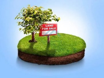 BELARDIMMO vous propose à la vente, un terrain de 6.64 ares.
 
Sur ce terrain et d'après le permis de construire accordé,  il est possible de construire une maison unifamiliale d'une surface totale de +/− 350 


Pour plus de renseignement ou une éventuelle visite sur les lieux veuillez vous adresser à Monsieur Belardi au +352 621367853

 ---------- 
BELARDIMMO bietet Ihnen ein 6,64 Ar großes Grundstück zum Verkauf an.
 
Auf diesem Grundstück und gemäß der erteilten Baugenehmigung ist es möglich, ein Einfamilienhaus mit einer Gesamtfläche von ca. 350 m² zu bauen.


Für weitere Informationen oder einen möglichen Besichtigungstermin vor Ort wenden Sie sich bitte an Herrn Belardi unter +352 621367853

 ---------- 
BELARDIMMO offers for sale a plot of land measuring 6.64 ares.

On this land, according to the granted building permit, it is possible to build a single-family house with a total surface area of approximately 350 


For more information or a possible visit on site, please contact Mr. Belardi at +352 621367853