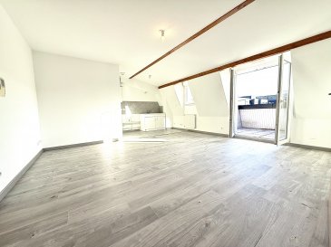 Un lien de la vidéo du logement est disponible à la demande.

HAGONDANGE : Centre ville

À 6 minutes à pieds environ de la Gare SNCF.

RARE ! À VOIR TRÈS RAPIDEMENT !

Idéal 1er achat, séniors, personne à mobilité réduite, investisseur.

Au dernier étage avec ASCENSEUR dans résidence récente (2010) de 3 étages, très beau logement 2 pièces + cuisine avec salon accès balcon, une belle chambre accès salle de bains avec meuble vasque et douche, des toilettes séparés.

Une cave électrifiée.

Un emplacement de parking privé juste devant l'entrée de la résidence.

Le logement d'environ 41,55 m² hors balcon :

Cuisine carrelée ouverte sur salon parquet, surface de l'ensemble environ 26 m², accès balcon d'environ 4 m².  
Une chambre parquet environ 10 m².  
Salle de bains carrelée environ 4 m².  
Toilettes séparés carrelé environ 2,5 m².

Une cave d'environ 3 m².

Un emplacement de parking privé extérieur : 1 voiture.

Chauffage au gaz chaudière à condensation.

Provisions pour charges de copropriété : entretien chaudière + espaces verts + nettoyage parties communes, syndic, assurance copro, électricité des communs, entretien ascenseur et divers fournis dans le récapitulatif des charges environ 1100 euros par an (en attente montant 2025).

Prix de vente : 136 000 euros honoraires agence inclus à charge vendeur.

Les informations sur les risques auxquels ce bien est exposé sont disponibles sur le site Géorisques : www.georisques.gouv.fr

« Montant estimé des dépenses annuelles d'énergie pour un usage standard : entre 520 euros et 750 euros par an. Prix moyens des énergies indexées sur l'année 2021-2022-2023 (abonnements compris). DPE 03/2026 » consommation (énergie primaire) : 107 kwh/m2/an : classe C émission : 20 kgco2/m2/an : classe C.

Mandat de vente N°391.

S.a.r.l au capital de 7 500 euros ALTAEA Immobilier HAGONDANGE (57300)  
Carte professionnelle de Transactions sur Immeubles et Fonds de Commerce  
n° CPI 5701 2018 000 025 548 délivrée par la Chambre de Commerce de Moselle.

Prix net, hors frais notarié, d'enregistrement et de publicité foncière.

« Notre société s'engage à ne recevoir aucun fonds, effets ou valeurs en dehors de nos honoraires. »

Pas de procédure en cours dans la copropriété au jour de la mise en ligne de cette annonce.

Nombre de lots dans l'ensemble des copropriétés : 160 (représentant les logements, caves, emplacements de parking et garages).

Syndic = professionnel.
