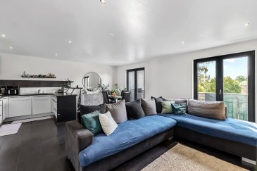 En Exclusivité ImmoHouse vous propose cette superbe maison classe C-C rénovée en 2020 idéalement située à Sanem.

Sur un terrain de 1,57 ares et une surface de 235m², cette magnifique maison se compose de:

- Un spacieux hall d'entrée
- Un salon salle à manger traversant très lumineux
- Une cuisine équipée ouverte
- 5 chambres à coucher
- Deux salles de bains avec wc et fenêtre
- Un wc séparé
- Un garage pour 2 voitures
- Une cave
- Un espace buanderie

A cela s'ajoutent : un garage, une buanderie, une cave, un jardin, une terrasse.

Magnifique maison à découvrir...

Infos et visites sur rdv