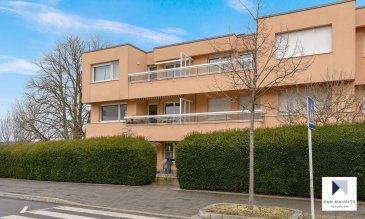 Ce lumineux appartement de ± 126m² se situe au 1er étage d’un immeuble de 6 unités dans une rue au calme sur les hauteurs du Limpertsberg. Il bénéficie d’un accès aisé vers le centre-ville et toutes commodités (écoles, crèches, commerces, restaurants et les transports publics). Très beau potentiel.

Il se compose comme suit:

Au 1er étage (avec ascenseur): d’une entrée de ± 12m²; d’un grand séjour de ± 50m² avec un accès par des baies vitrées vers la terrasse de ± 12m² orientée plein sud; de 3 chambres de ± 14, 13 et 11m²; d’une salle de bain de ± 6m²; d’une cuisine équipée de ± 10m²; d’un WC séparé.

Au sous-sol: d’une cave (n°9) de ± 7m²; d’un garage de ± 19m² (face à la cave); d’une buanderie commune et d’un local vélo.

Généralités:

Proximité du centre-ville et au calme
Double vitrage - Terrasse
Ascenseur
Rafraichissement à prévoir - possibilité de faire une 2ème salle de bain avec cuisine ouverte dans le séjour.

Contact :  Jimmy de Brabant  +352  661 167 494