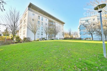 Dudelange nuddelsfabrik

Situé au RDC d'une résidence du début des années 2000, disposant de sa propre crèche, à proximité immédiate des commerces, écoles, transports et axes autoroutiers, Cimm Immobilier Luxembourg vous propose en exclusivité à la vente cet appartement de 1 chambre et 1 bureau disposant d'une cave et d'un emplacement extérieur. 

Idéal pour un jeune couple ou jeune retraité !

L'appartement se compose : hall d'entrée, salon / cuisine ouverte, hall de nuit, chambre, bureau, salle de douche, débarras. 

L'appartement est soumis à un bail emphytéotique avec le fonds du logement.

Charges : 141€ / mois

Equipement technique : châssis bois double vitrage, chauffage central au gaz. 

Pour plus de renseignements et/ou visites, veuillez contacter Cimm Immobilier Luxembourg au : (+352)26 95 40 03.