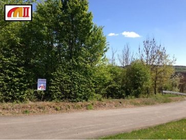 TERRAIN - WORMELDANGE-HAUT