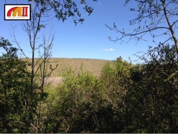 TERRAIN - WORMELDANGE-HAUT