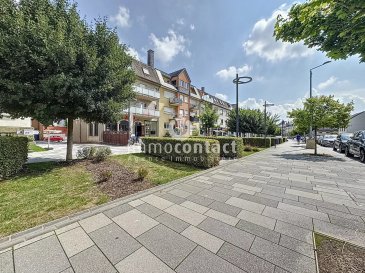Immo-Contact vous propose une opportunité rare au sein de l’avenue commerçante principale de Mondorf-les-Bains.
Situé Allée St Christophe, cette artère emblématique, ce local bénéficie d’un emplacement de premier choix, avec un passage constant, une excellente visibilité et un environnement urbain particulièrement soigné.

L’avenue Saint-Christophe, c’est le cœur vivant de la commune : un mélange parfait entre dynamisme commercial et cadre agréable, dans un esprit “villégiature” typique de Mondorf.

Le local développe une surface d’environ 94 m², répartie en deux grandes pièces lumineuses, à aménager selon vos besoins (commerce, profession libérale, showroom…).

Il comprend également :

- Une salle de stockage

- Deux garages box fermés

- Un emplacement de parking extérieur

- Une terrasse (possibilité de location annuelle)

Un bien rare dans un secteur très recherché, parfait pour implanter votre activité avec visibilité, accessibilité et confort.

Visites possibles en semaine et le samedi.

Pour toutes informations contactez-moi au +352 621 391 355.

Estimation de votre bien (sous 48h), contactez-nous au +352 26 311 992 ou sur info@immocontact.lu.