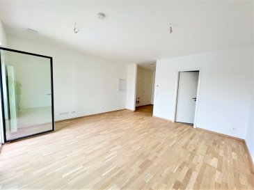 *10 minutes à pied de la Cloche d'Or *

 QUARTIER GASPERICH/HOLLERICH  
Disponible au 15 MAI 2025

STUDIO QUASI NEUF (2023)  avec Parking intérieur situé au 1er étage arrière de la nouvelle résidence « Baudoin »  
(adresse: 51 rue Baudoin L-1218 Luxembourg)

Le bien se compose comme suit:
========================
- Hall d'entrée avec placard intégré
- Grand séjour ouvert sur cuisine équipée (31 m²)
- Balcon de 3.80 m²
- Salle de bains équipée avec WC suspendu (4.60 m²)
- Cave privative n°42 de 4 m²  
- Buanderie 
- Parking privatif intérieur  n°19 

Equipement & Divers
================
- Parquet au sol 
- Situation tranquille car situé du côté arrière de la résidence 
- Stores extérieurs à lamelles électriques
- Stores intérieurs occultants
- Equipé d'un grand placard-vestiaire intégré à 4 portes 
- Entièrement équipé en luminaires
- Triple vitrage - Classe energie AAA
- Internet par fibre optique

- Frais d'agence 50% Bailleur / 50% Locataire

Situation et transports en commun
=========================
-La résidence «Baudoin» est idéalement située à proximité de la cloche d'Or, de la Gare Centrale et du centre-ville.

-Ligne de tram proche : TRAM - T1 - Luxembourg, Gare Centrale (Tram) - Kirchberg, Luxexpo avec un arrêt situé à 10 minutes à pied.


Vous aurez le choix entre plusieurs supermarchés à proximité : 