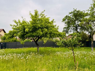 À vendre - Terrain constructible à Thionville Guentrange. Idéalement situé dans le quartier prisé de Guentrange à Thionville, terrain constructible de 4 ares 08.
Ses atouts :
Emplacement de qualité dans un quartier résidentiel
Surface idéale pour une maison individuelle
Environnement calme et agréable
Proximité des écoles, commerces et transports.

Les informations sur les risques auxquels ce bien est exposé sont disponibles sur le site Géorisques : www.georisques.gouv.fr » 

Renseignements et visites : 
- Karine Karas 06 08 31 19 87
- Katia Moriceau : 06 75 66 99 25