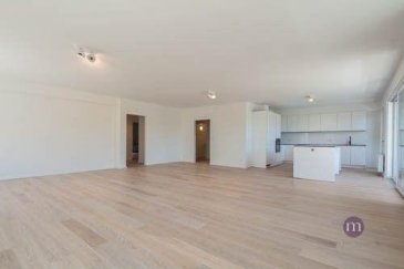 Appartement lumineux, spacieux et entièrement rénové sis au 3e étage de  /- 170 m2 comprenant: grand living  avec cuisine équipée ( /- 73 m2) donnant sur balcon (orientation est), 3 chambres à coucher dont une spacieuse chambre parentale avec salle de bains et placard donnant sur balcon (orientation ouest), salle de douche, WC séparé, hall d'entrée, hall de nuit avec placard, débarras/buanderie avec raccordement lave-linge, cave, 1 emplacement intérieur. 

Revêtement de sol: beau parquet et carrelage
Passeport énergétique: EE
Disponibilité: immédiate

Quartier agréable à quelques pas du Centre-Ville, tout proche du Parc, de tout commerce, bonne connexion bus et tramway, accès rapide vers autoroute. 
