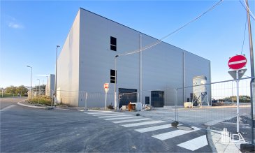 En location, l'Immobilière de l'Attert vous propose en location ce hall industriel, pour usage de stockage ou de production d'une surface de 1135 m² idéalement situé à Flatzbour dans la commune de Rambrouch à proximité direct de la frontière Belge.

Loyer : 11 123€ (9,80€/m2)  
Charges : à définir  
Garantie: 2 mois de loyer  
Commission d'agence : 1 mois de loyer + TVA  
Disponible de suite  

Généralité :  
- Sanitaires communs ;  
- Dalle industrielle ;  
- Hauteur de plafond entre 4,85 et 5,20m ;  
- Étage accessible via un plateau élévateur (monte-charge industriel) de 600 X 300. Possibilité d'y monter des camionnettes, container, etc ;  
- Bonne isolation, 20cm d'épaisseur au plafond et 15cm épaisseur sur les murs ;  
- Porte sectionnelle +/-3,5m de haut X 5m de large ;  
- Emplacements de parkings disponibles selon l'activité ;  
- Possibilité d'adapter et moduler les différentes surfaces selon vos besoins ;  
- Non chauffé ;  
- Construction neuve de 2023  
- Situation idéale à la frontière Belge avec accès autoroutiers faciles  

Cet entrepôt propose un bel espace de stockage disposant des infrastructures modernes et qualitatives pour vos besoins industriels.

Pour plus d'informations, ou pour une visite, contactez-nous au +352 23 62 90 20 ou sur immo@immoaida.lu.  

Consultez nos biens sur www.immoaida.lu