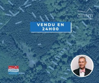 Commune de Winseler, section E de doncols et sonlez 2543

Parcelle de 1ha 15a 60ca arboré avec des sapins.