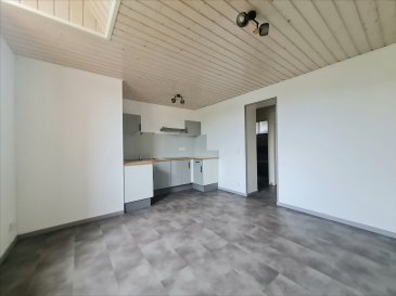 APPARTEMENT RENOVE DE TYPE F2 COMP: entrée avec placard, cuisine équipée ouverte sur séjour, une chambre avec accès cours commune, salle de bain et wc séparé. Une pièce, une cave et une place de stationnement couverte.