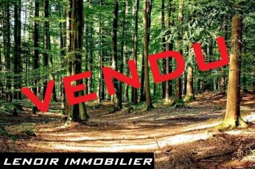 **VENDU**
Hettange grande, 

Lot de 5 parcelles de forêt boisées pour un total de 3,38 ha. 3 attenantes pour 2,69 ha et 2 attenantes pour 69 ares. Facilement accessible depuis la route de Kanfen.
Idéal investissement forestier et/ou long terme en personnel ou professionnel.
Prix de bois de chauffage en constante augmentation.

Honoraires vendeur inclus, non soumis à DPE.
“Les informations sur les risques auxquels ce bien est exposé sont disponibles sur le site Géorisques : www.georisques.gouv.fr“
LENOIR IMMOBILIER : Vente, Location, Gestion depuis 2010.
