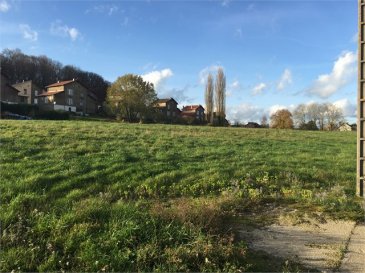 Terrain constructible