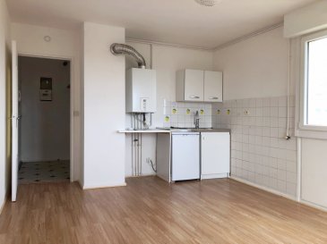 Studio dans résidence calme et surveillée, avec ascenseur.
Appartement rénové situé au 3e et dernier étage comprenant entrée avec dressing, coin-cuisine équipé, salle de bains avec baignoire et WC.
Chauffage ind. gaz, cave, place de stationnement privative.