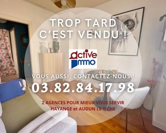 Appartement Thionville 3 pièce(s) 55 m2. En exclusivité - THIONVILLE - Coeur de ville<br/><br/>Situé en zone piétonne, à moins de 10 min à pied de la gare, cet appartement de type F3 est idéal si vous êtes frontaliers et/ou si vous souhaitez profiter des commodités et des spécificités de la vie citadine.<br/><br/>D\'une superficie de 55m² au 2ème étage d\'une petite copropriété très bien entretenue, cet appartement en partie rénové, vous séduira par sa cuisine récente entièrement équipée et aménagée, son séjour attenant, sa salle d\'eau avec wc, son cellier/cagibi et ses 2 grandes pièces de plus de 14m² à adapter selon vos besoins et envies en chambres ou autre pièce de vie.<br/><br/>En complément une cave privative<br/>Parkings publics, écoles, collègues et lycée à toutes proximités.<br/><br/>DV PVC avec volet roulant<br/>Chauffe eau individuel<br/>Chaudière collective au Fuel<br/>Syndic professionnel<br/>Charges de copropriété = 243€/mois comprenant électricité et entretien des communs, avance sur chauffage + eau, Entretien chaudière, Assurance immeuble, Frais de syndic<br/>Aucune procédures en cours<br/><br/>DPE réalisé le 20/12/2023 :  logement classé F pour 282kwh/m²/an ainsi que F pour les émissions de gaz à effet de serre pour 85 kg co²/m²/an.<br/>Montant estimé des dépenses annuelles d\'énergie pour un usage standard : entre 1 230€ et 1 710€ par an. Prix moyens des énergies indexés sur l\'année 2021 (abonnements compris)<br/><br/>Les informations sur les risques auxquels ce bien est exposé sont disponibles sur le site Géorisques : www.georisques.gouv.fr ».<br/><br/>Honoraires inclus à charge vendeur<br/>Copropriété de 15 lots (Pas de procédure en cours).<br/>Charges annuelles : 2920.00 euros.