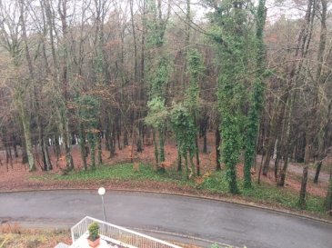 TRES BEAU STUDIO AVEC SUPERBE TERRASSE DE 50M2 PLEIN SUD. 

IL SE COMPOSE DE:
1 CUISINE EQUIPEE,
SALLE A MANGER/CHAMBRE,
1 SALLE DE DOUCHE AVEC WC,
1 TERRASSE DE +/- 50 M2,
1 TERRASSE DE +/- 10 M2,
1 DEBARRAS

POUR PLUS D'INFORMATIONS OU POUR ORGANISER UNE VISITE, N'HESITEZ PAS A NOUS CONTACTER.

M. TINELLI
TEL: 621 323 127
TEL: 691 241 181
