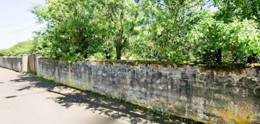 Propriété d'Exception à Bouzonville : 2566 m² de sérénité et de saractère
Un écrin de verdure au charme authentique en bout d'impasse pour votre futur projet de vie.
Situé au cœur d'un secteur calme et prisé, ce terrain rare composé des parcelles 106, 107 et 144 (section 6) offre une opportunité unique sur le marché de Bouzonville (57320). Actuellement préservé en verger, ce lieu dégage une atmosphère paisible et authentique.
Les atouts majeurs :
•	Espace et Liberté : Une surface totale rare de 2 566 m², idéale pour les amoureux de grands jardins, de projets de construction ambitieux ou pour garantir une intimité totale.
•	Architecture & Cachet : Ce terrain plat est ceint sur sa façade avant par un très beau mur de pierre, offrant un charme fou et une identité forte à la propriété.
•	Façade Généreuse : Avec 29 mètres de largeur de façade, les possibilités de conception architecturale sont vastes et permettent une implantation optimale de votre demeure.
•	Emplacement Privilégié : Situé en bout de l'impasse Henri II de Lorraine, vous profitez d'un calme absolu, loin du passage, tout en restant à proximité immédiate des services et commerces.
•	Construction Facilitée : La viabilisation est aisée, les réseaux se situant en bordure de propriété.
 Caractéristiques Techniques :
•	Surface totale : 25.66 ares
•	Configuration : Verger arboré
•	Situation : Zone calme, environnement résidentiel qualitatif.
•	Constructibilité : situé hors lotissement, ce terrain est libre de constructeur. 
Le mot de l'agent : 