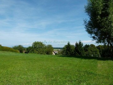 Terrain constructible