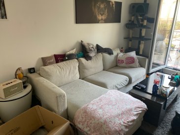 **** APPARTEMENT EN LOCATION ****

HT immobilier vous propose,  proche des axes autoroutiers, des petits commerces et du centre de Esch-sur-Alzette, ce joli appartement de plus ou moins 50m2.

Il est composé d'un salon, donnant accès au grand balcon de 12m2

Une spacieuse chambre avec rangement, une cuisine équipée et une salle de douche avec WC vous sont également proposés.

Vous bénéficiez également d'une cave en sous sol. 

Le loyer est de 950€ et 150€ de charge. 

Disponibilité au 1er décembre 2020. 
