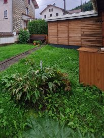 Bel appartement meublé type F2 au 1er étage composé d'une entrée ouverte sur salon/séjour, une chambre, une cuisine équipée, salle d'eau WC; Au second étage une pièce indépendante pouvant servir de bureau ou chambre; Un petit jardin et espace de rangement extérieur.