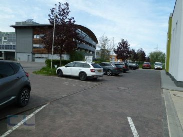 -- FR --

CL IMMOBILIERE  en collaboration avec le bureau immobilier - IMMO SHARP - vous propose une location.
Description du bien immobilier
HALL INDUSTRIEL (année de construction: 1991,) en bon état avec:
Au rez-de-chaussée - 3 zones ouvertes: a.) b.) c.)
- 30,019 m2 - hall de stockage au sol a.)
- 74,395 m2 - hall de stockage au sol b.)
-131,380 m2 - hall de stockage au sol c.)
---------------
- 235 794 m2 (a.) b.) c.) - Grand - Total :)
Hauteur totale de 7,219 mètres. (Rez-de-chaussée et 2 ème niveau)

Au deuxième niveau, nous proposons:
- 9,555 m2 bureau au deuxième niveau
- 1,794 m2 installation sanitaire (WC séparé - fenêtre)
- 2,639 m2 kitchenette (évier- frigo)
- 46,507 m2 mezzanine au deuxième niveau (hauteur de 4, 376 M) 
---------------
- 61,397 m2 Grand - Total: (deuxième niveau)

Grand - Total complet: 297,191 m2

Caractéristiques
Voiture:
- 2 places de parking extérieures privatives (comprises dans le prix de location)
Chauffage - chauffage au gaz

' Surface disponible totale: 297,191 m²

- Grande porte de garage électrique pour camions (4,75 mx 4,75 m)
- consommation d'eau (incluse dans le prix de la location)

LOYER: 2.136,75.-   TVA 17% = 363,25.- = ' 2.500.- 
COMMISSION DE L'AGENCE: 1 loyer   TVA 17% = ' 2.500.-
CAUTION: 2 mois: ' 5.000.- (ou garantie bancaire)

Le hall est situé dans la zone commerciale et industrielle de Steinsel, 67, rue des Prés.
Accès facile.
Proximité Luxembourg- Centre et autoroute du Nord.
Libre au 01.10.2019.
Ref agence :SCVP67