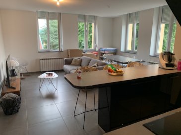 A VENDRE A HERSERANGE (54 440) UN TRES BEL APPARTEMENT DE TYPE F2 D'UNE SUPERFICIE HABITABLE  D'ENVIRON 60M² SITUE AU 2EME ETAGE DANS UN IMMEUBLE DE 10 LOGEMENTS SANS ASCENSEUR.
APPARTEMENT A PROXIMITE DE LA FRONTIERE LUXEMBOURGEOISE ET BELGE.

A 12 MINUTES A PIED ET A 3 MINUTES EN VOITURE DE LA GARE SNCF ET GARE ROUTIERE DE LONGWY (54 400).
Idéal pour un premier achat ou un investissement locatif.

Potentiel locatif estimé à 1000€ nets par mois hors charges.

CONSISTANCE:
Une entrée avec dégagement comprenant un grand placard de rangement ainsi qu'un deuxième placard pour les chaussures ou autres effets personnels.

Une cuisine entiérement équipée ouverte sur le salon salle à manger, un dégagement, une chambre avec un grand dressing aménagé, une salle de douche avec un WC, une chaufferie buanderie.

UN GARAGE INDIVIDUEL ET UNE PLACE DE PARKING EN FACE DE L'IMMEUBLE.
UNE GRANDE CAVE.

PORTE D'ENTREE SECURISEE ET BLINDEE AVEC PLUSIEURS POINTS DE FERMETURE.
CHAUFFAGE ELECTRIQUE.
DOUBLE VITRAGE PVC AVEC DES VOLETS ROULANTS.
AUCUN TRAVAUX A PREVOIR.

TRES BEAU PRODUIT A VISITER SANS TARDER.