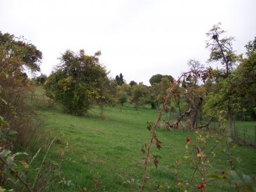 Terrain constructible