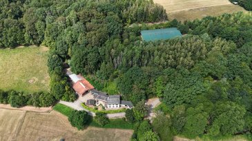 Exklusive Reitanlage mit Wohnhaus, Reithalle und ca. 40 000 m2 Eigenland und ca 27000m2 Pachtland in traumhafter Alleinlage

Wadern-Gehweiler

45 Minuten von der Grenze Luxemburg

Willkommen auf einer außergewöhnlichen Pferdeimmobilie, die höchsten Ansprüchen gerecht wird. In absoluter Alleinlage, umgeben von rund 40.000m2 Eigenland und ca 27000m2 Pachtland vereint dieses einzigartige Anwesen exklusives Wohnen mit einer professionellen Reitanlage und bietet ideale Voraussetzungen für ambitionierte Pferdehalter, Züchter oder Ausbildungsbetriebe. Direkt am Waldrand gelegen und mit unmittelbarem Anschluss an das Naturschutzgebiet Wadrilltal genießen Sie hier absolute Ruhe, Privatsphäre und die Möglichkeit, ohne Straßenquerung direkt ins weitläufige Ausreitgelände zu gelangen.

Das Wohnhaus

Das gepflegte Wohnhaus mit ca. 193 m² Wohnfläche überzeugt durch seine großzügige Raumaufteilung und den direkten Anschluss an den Stallbereich. Es bietet unter anderem:
? großzügigen Wohn- und Essbereich
? Küche
? mehrere Schlafzimmer
? Ankleide
? Wintergarten mit umlaufendem Balkon
? Arbeitszimmer
? Badezimmer mit Dusche und Badewanne
? Gästezimmer
? Kaminofen
? Garage mit direktem Hauszugang

Das Haus wurde laufend modernisiert und verfügt unter anderem über:
? neue Ölbrennwertheizung (2025)
? Kaminofen
? biologische Kleinkläranlage
? Glasfaseranschluss
? Brunnenanlage mit Tiefbrunnen
? komplett eingezäuntes Anwesen
? elektrische Hörmann-Garage

Professionelle Pferdeanlage

Die Reitanlage wurde über viele Jahre hochwertig aufgebaut und bietet nahezu alles, was Pferdeliebhaber oder Profis benötigen.

Ausstattung
? 10 großzügige Pferdeboxen
? Krankenboxen
? Hengstbox
? hochwertige Boxenausstattung
? beheizbare Selbsttränken
? Behandlungs- und Besamungsstand
? Sattelkammer
? separater Futterraum
? mehrere Paddockanlagen
? befestigte Hofflächen
? überdachte Mistplatte
? Maschinen- und Kutschenunterstände
? Waschplatz
? zahlreiche Lagerflächen für Heu und Stroh

Reithalle

Ein absolutes Highlight ist die große Reithalle mit einer Reitfläche von ca. 20 x 40 Metern. Sie verfügt über:
? lichtdurchflutete Bauweise
? hochwertigen Reitsand
? Tribüne
? sechs integrierte Laufboxen
? Heu- und Strohlager
? automatische Toranlage
? separate Stromanschlüsse
? Beleuchtung
? direkten Zugang zu den Außenkoppeln

Longierzirkel

Zusätzlich steht ein überdachter Longierzirkel mit ca. 126 m² zur Verfügung.

Stall- und Nebengebäude

Ergänzt wird die Anlage durch weitere Wirtschaftsgebäude mit rund 154 m² sowie einen zusätzlichen Stallanbau mit überdachter Mistplatte (ca. 128 m²), wodurch optimale Arbeitsabläufe gewährleistet werden.

Weideflächen

Die arrondierten Flächen umfassen insgesamt rund 67.000 m² und bieten ideale Bedingungen für Offenstallhaltung, Weidewirtschaft oder Zucht.

Besondere Highlights:
? sämtliche Koppeln direkt am Hof
? komplette Einzäunung
? Winterkoppel
? Waldflächen
? eigener Bachlauf (Waldrill)
? Treibwege zwischen den Koppeln
? Hochleistungs-Weidezaungerät
? absolute Privatsphäre

Erweiterungspotenzial

Ein weiteres Plus ist die bereits vorbereitete Bauvoranfrage für eine Ovalbahn mit Turniermaßen, wodurch sich zusätzliche Entwicklungsmöglichkeiten für den professionellen Reitsport eröffnen.

Fazit

Diese außergewöhnliche Pferdeimmobilie verbindet exklusives Wohnen mit einer hervorragend ausgestatteten Reitanlage in einer seltenen Alleinlage. Ob als privates Gestüt, Ausbildungsbetrieb, Zuchtanlage oder Reitsportzentrum, hier finden Sie eine Immobilie, die hinsichtlich Größe, Ausstattung und Lage kaum Wünsche offenlässt. Eine seltene Gelegenheit für Pferdeliebhaber, die Wohnen, Natur und professionellen Pferdesport auf höchstem Niveau miteinander verbinden möchten.