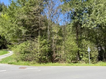 Attraktives Eckgrundstück in ruhiger Lage ? vielseitig bebaubar in Daleiden-Falkenauel

Dieses wunderschöne Eckgrundstück in angenehmer Wohnlage von Daleiden-Falkenauel bietet Ihnen eine seltene Gelegenheit, Ihre individuellen Wohn- oder Investitionsideen zu verwirklichen. Mit einer großzügigen Fläche von 1.140 m² eröffnet sich hier ein vielfältiges Nutzungspotenzial ? ob für ein klassisches Einfamilienhaus, moderne Tiny Houses oder charmante Ferienhäuser.

Großzügiges Eckgrundstück mit ca. 1.140 m²  
Kaufpreis: 78.500 €  
Ruhige, naturnahe Lage in Daleiden-Falkenau  
Vielseitig bebaubar (z. B. Einfamilienhaus, Tiny Houses, Ferienimmobilien)  
Attraktiver, teilweise eingewachsener Baumbestand  
Gute Erschließungsmöglichkeiten (Details auf Anfrage)  

Ob zur Eigennutzung, als Rückzugsort in der Natur oder als interessante Investition im Bereich Ferienvermietung ? dieses Grundstück bietet Ihnen zahlreiche Perspektiven.

Jetzt Besichtigung vereinbaren und das Potenzial dieses besonderen Grundstücks entdecken!