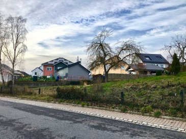 Terrain constructible