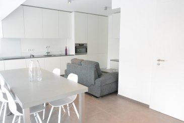 L'équipe SIRUS IMMOBILIERE vous propose en location un magnifique sous-plex semi-meublé.

Au rez-de-chaussée vous trouverez:
- une salle de douche avec WC

A l'étage inférieur:
- une chambre à coucher avec un lit, matelas et un dressing
- Une salle de douche avec WC
- Une buanderie avec lave linge
- Une petite cour

Disponibilité: DE SUITE 

N'hésitez pas de nous contacter pour plus d'informations.

L'équipe SIRUS IMMOBILIERE
