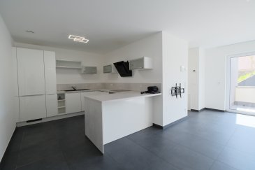 L'agence Chaves vous présente cet appartement en location situé à Weidingen (Wiltz).

Le bien est composé comme suit:
- 1 chambre à coucher + salle de douche
- cuisine ouverte sur le living + balcon 
- entrée + armoire encadastrée
- WC séparé
- débarras avec raccordement machine à laver

De plus:
- 1 emplacement intérieur + 1 à l'extérieur
- belle cave avec rangement