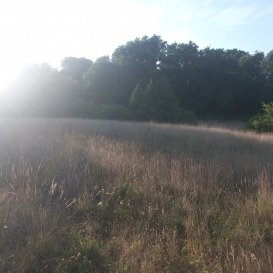 Pour investisseur superbe terrain de 8962 m², situation de choix pour maisons  individuelles ou immeubles de rapport, logements senior...

Des études de sol ont été réalisées, pour de plus amples renseignements nous contacter.

Le prix est de 642000€ frais d'agence inclus.